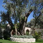 Boreas (adults Only) Alaçatı