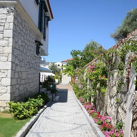 Boreas (adults Only) Tatil Evi