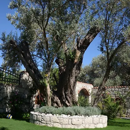 Boreas (adults Only) Alacati