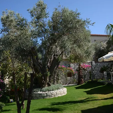 Boreas (adults Only) Bed & Breakfast