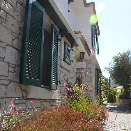 Boreas (adults Only) 3*
