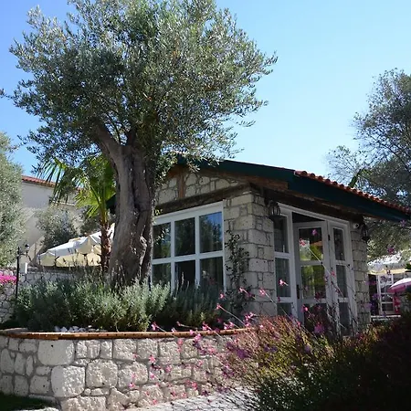 Boreas (adults Only) 3* Alacati