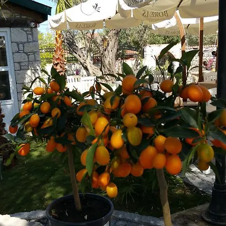 לינה וארוחת בוקר Boreas (adults Only) 3*