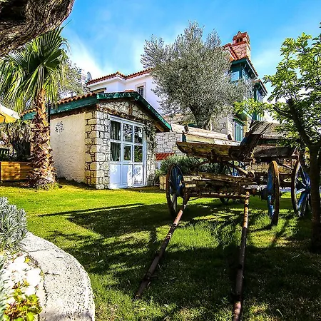 Boreas (adults Only) Bed & Breakfast 3*