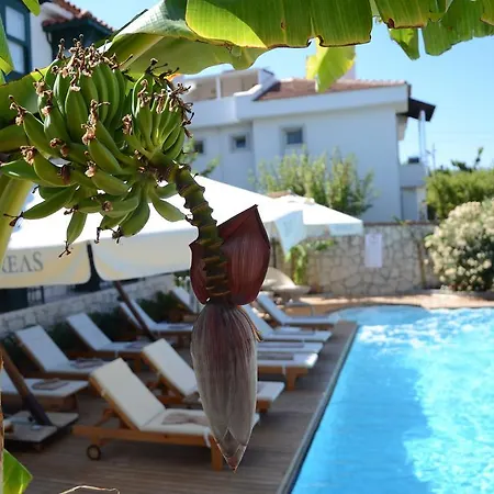 Дом отдыха Boreas (adults Only) Алачати