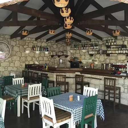 Boreas (adults Only)