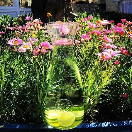 Boreas (adults Only) Alaçatı