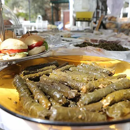 Boreas (adults Only) *