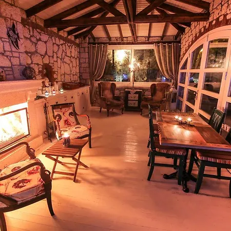 Boreas (adults Only)