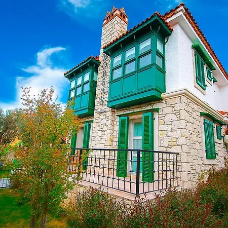 Boreas (adults Only)